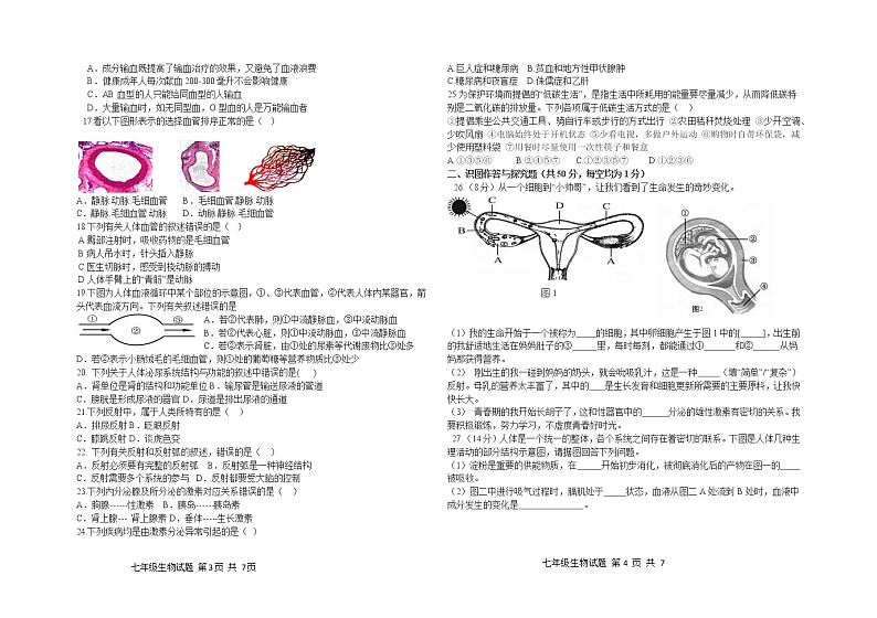 内蒙古科尔沁左翼中旗2020-2021学年七年级下学期期末考试生物试题（word版 含答案）第2页
