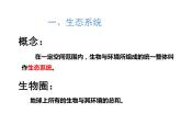 人教版七年级生物上册 第一单位生物和生物圈 第二章了解生物圈 第二节  生物与环境组成生态系统课件PPT