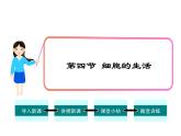 人教版七年级生物上册 第二单位生物体的结构层次 第一章细胞是生命活动的基本单位 4.第四节  细胞的生活课件PPT