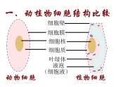 人教版七年级生物上册 第二单位生物体的结构层次 第一章细胞是生命活动的基本单位 4.第四节  细胞的生活课件PPT