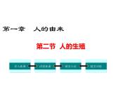 人教版七年级生物下册 第一章人的由来 第二节  人的生殖课件PPT
