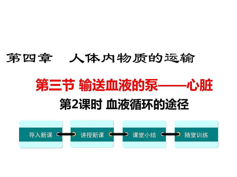 人教版七年级生物下册 第四章人体内物质的运输 第2课时 血液循环的途径课件PPT第1页