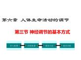 人教版七年级生物下册 第六章 人体生命活动的调节 第三节 神经调节的基本方式课件PPT