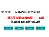 初中生物人教版 (新课标)七年级下册第三节 输送血液的泵──心脏多媒体教学ppt课件