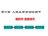 人教版七年级生物下册 第六章 人体生命活动的调节 第四节 激素调节课件PPT