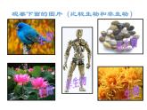 人教版七年级生物上册 第一单位 生物和生物圈 第一章 认识生物 第一节  生物的特征课件PPT