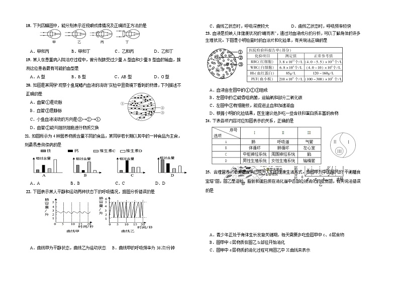 内蒙古呼伦贝尔扎兰屯市2020-2021学年七年级下学期期末考试生物试题（word版 含答案）第2页