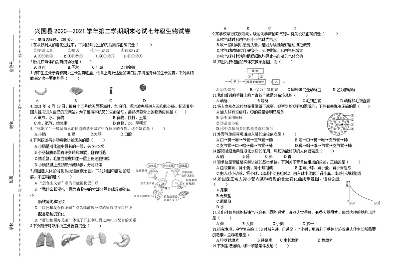江西省赣州市兴国县2020-2021学年七年级下学期期末测试生物试题（word版 含答案）第1页