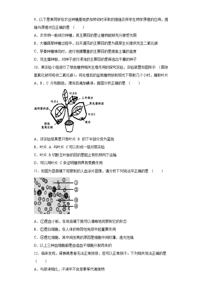 山东省潍坊市诸城市2020-2021学年八年级下学期期中生物试题（word版 含答案）03