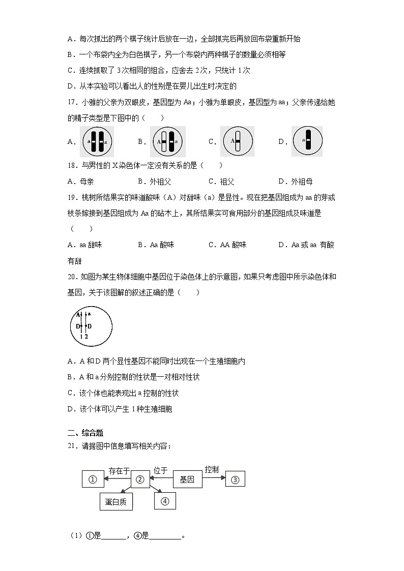 山西省吕梁市孝义市2020-2021学年八年级下学期期中生物试题（word版 含答案）03