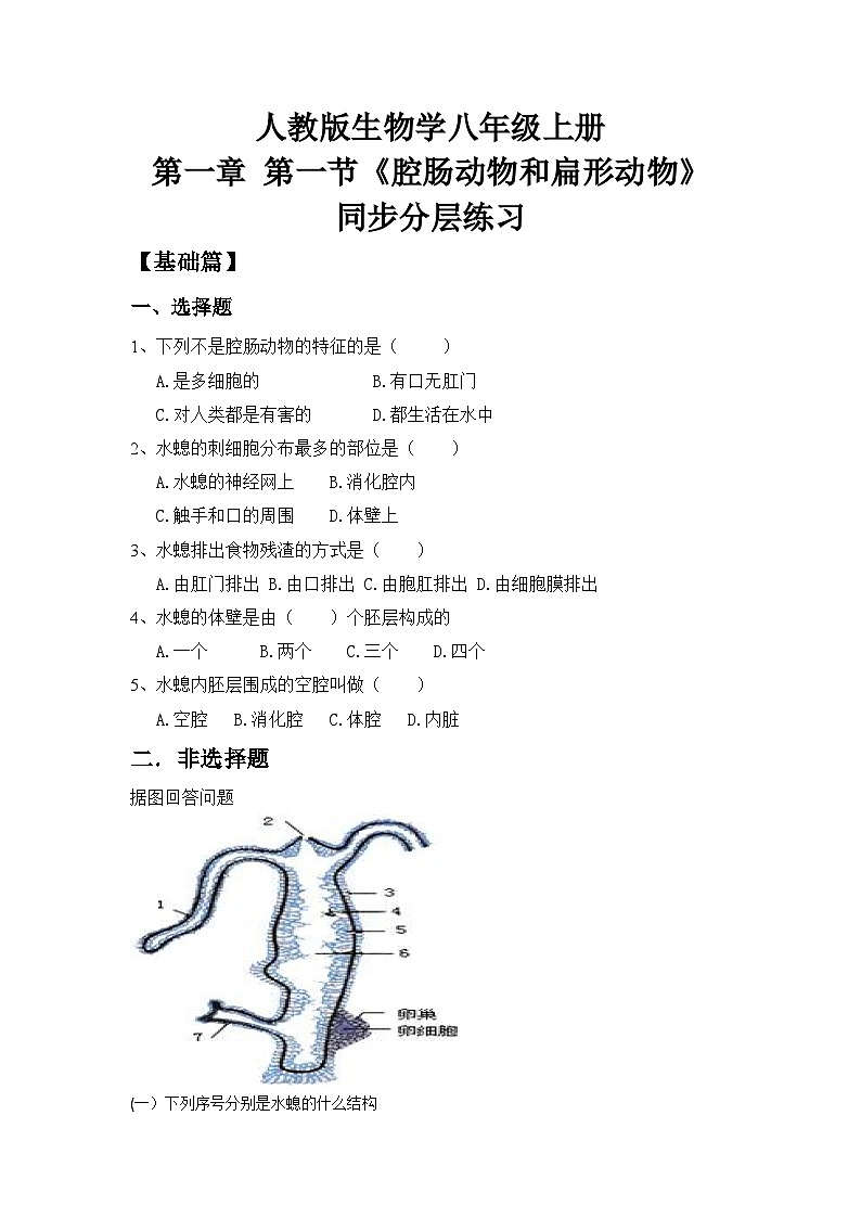 【核心素养目标】人教版初中生物八年级上册5.1.1《腔肠动物和扁形动物》课件+视频+教学设计+同步分层练习（含答案）01