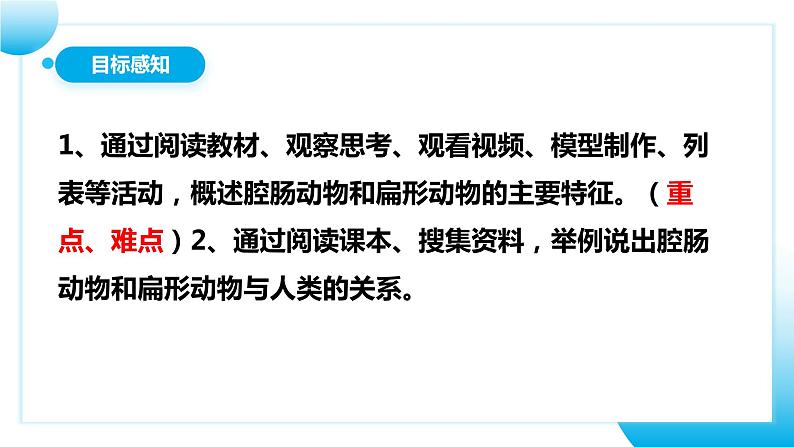【核心素养目标】人教版初中生物八年级上册5.1.1《腔肠动物和扁形动物》课件+视频+教学设计+同步分层练习（含答案）04