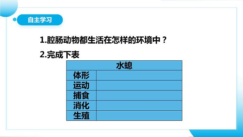 【核心素养目标】人教版初中生物八年级上册5.1.1《腔肠动物和扁形动物》课件+视频+教学设计+同步分层练习（含答案）05