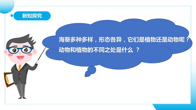 【核心素养目标】人教版初中生物八年级上册5.1.1《腔肠动物和扁形动物》课件+视频+教学设计+同步分层练习（含答案）08