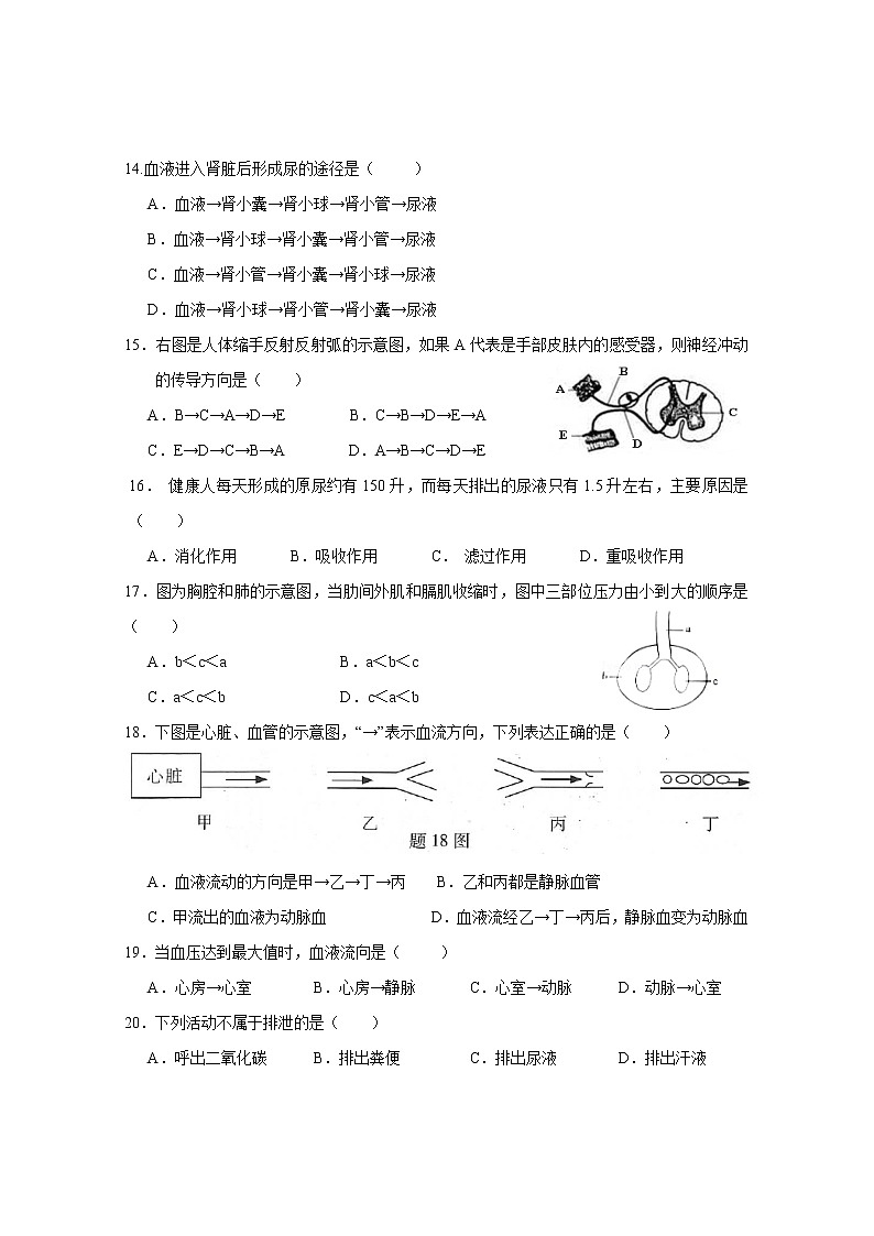 广东省清远市清新区2020-2021学年七年级下学期期末考试生物试题（word版 含答案）第3页