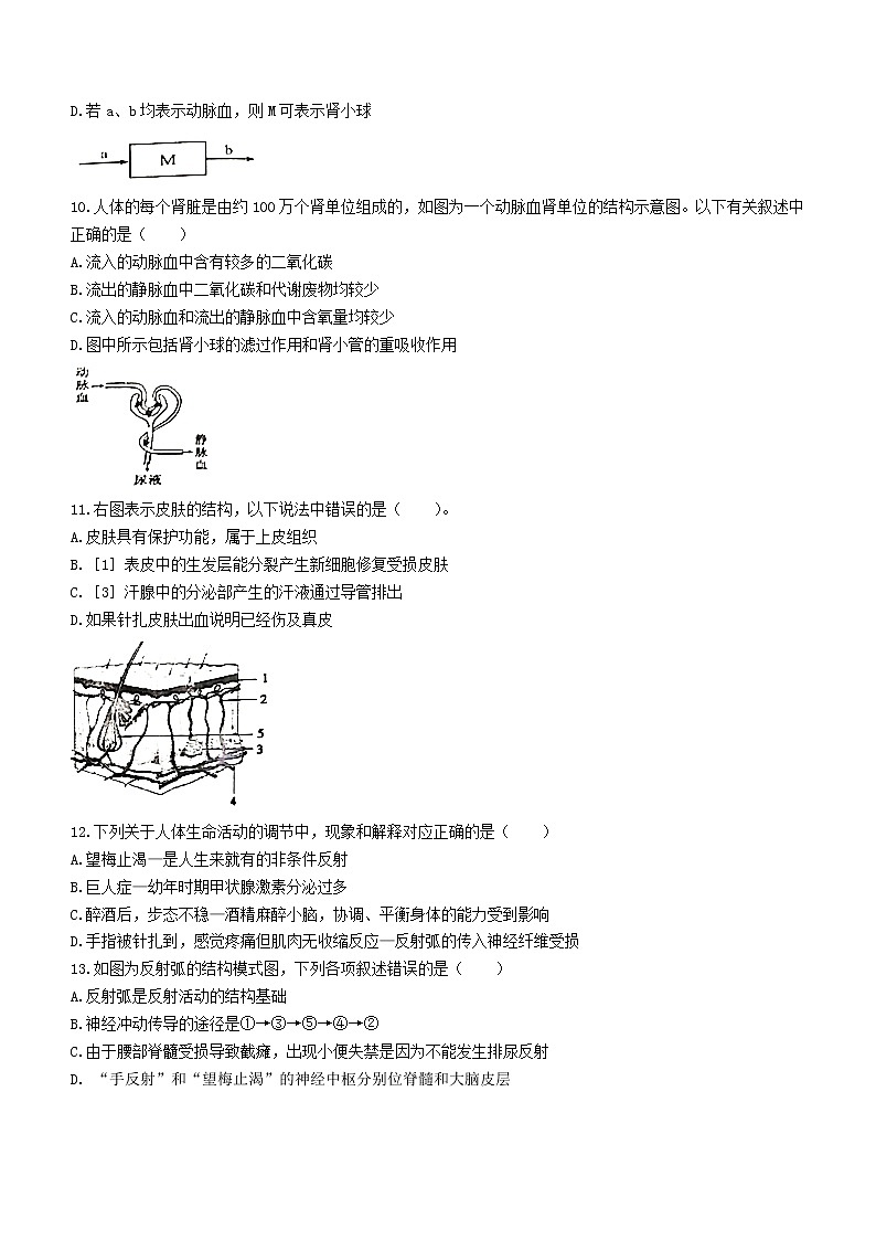 山东省济宁市金乡县2020-2021学年七年级下学期期末生物试题（word版 含答案）02