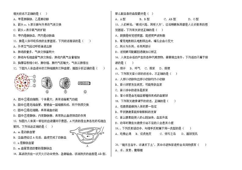 内蒙古霍林郭勒市2020-2021学年七年级下学期期末考试生物试题（word版 含答案）第2页