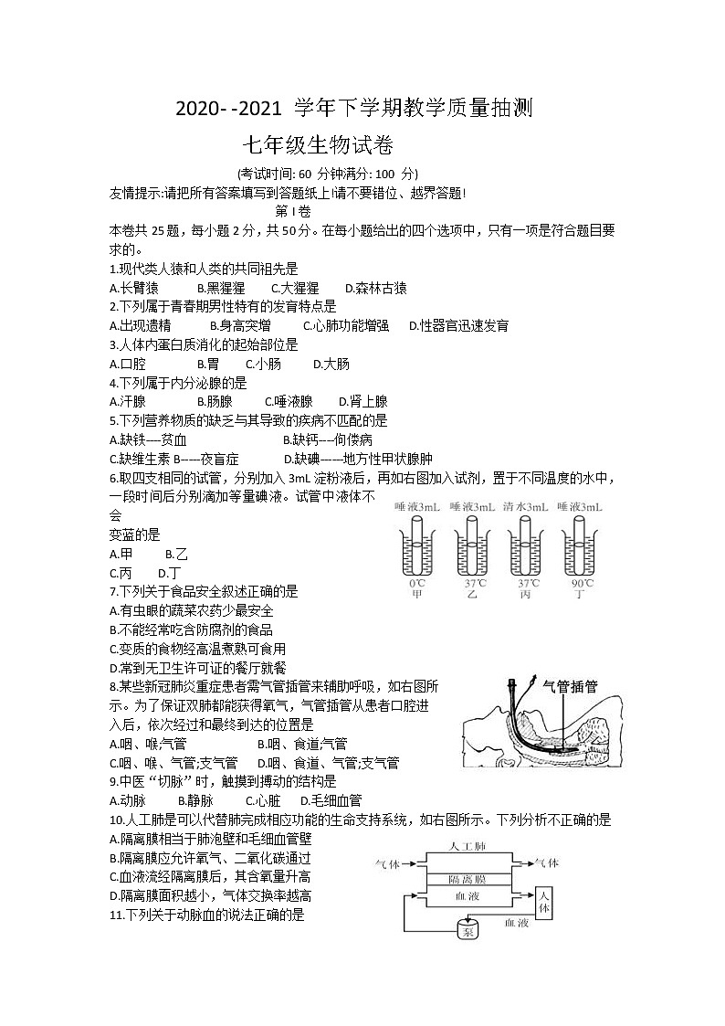 福建省漳州市2020-2021学年七年级下学期期末考试生物试题（word版，含答案）第1页
