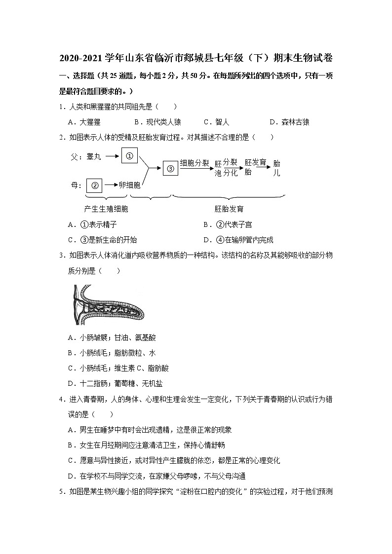 2020-2021学年山东省临沂市郯城县七年级下学期期末生物试卷（word版 含答案）第1页
