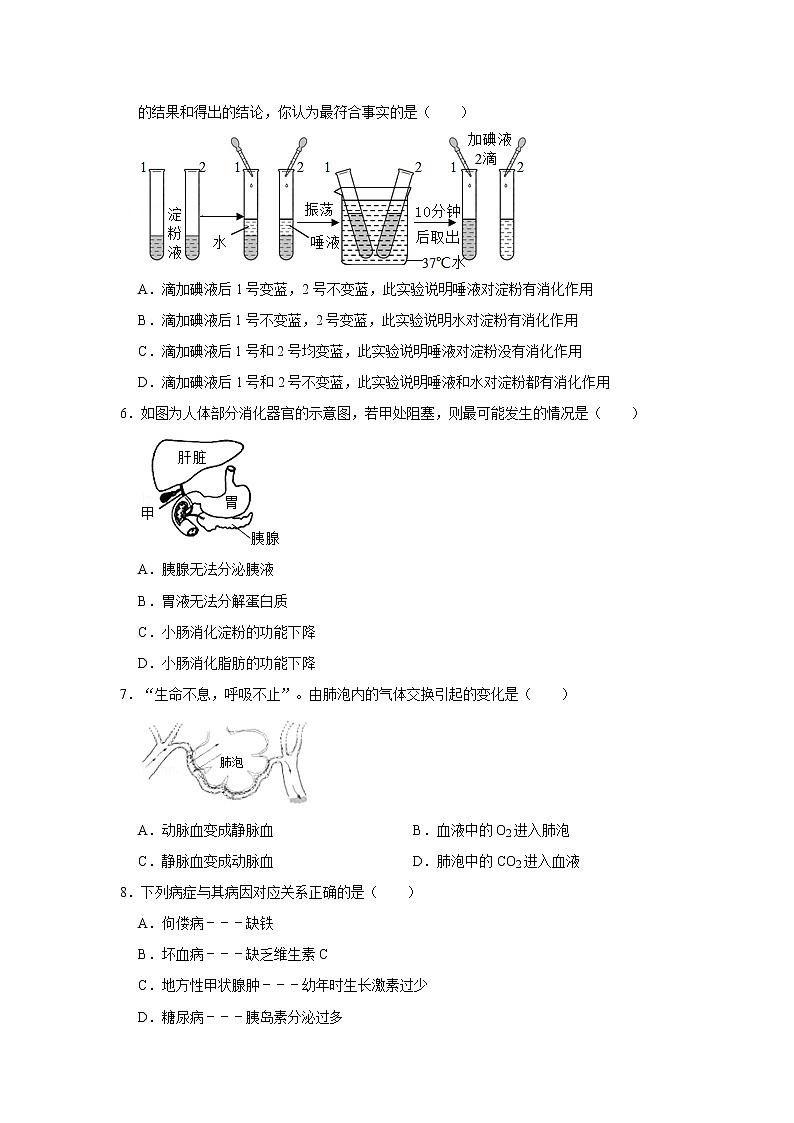 2020-2021学年山东省临沂市郯城县七年级下学期期末生物试卷（word版 含答案）第2页