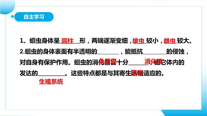 【核心素养目标】人教版初中生物八年级上册5.1.2《线形动物和环节动物》课件+视频+教学设计+同步分层练习（含答案）05