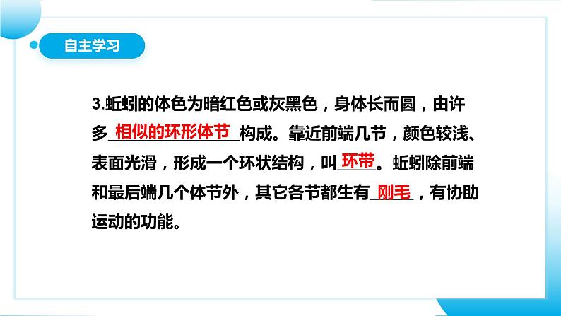 【核心素养目标】人教版初中生物八年级上册5.1.2《线形动物和环节动物》课件+视频+教学设计+同步分层练习（含答案）06