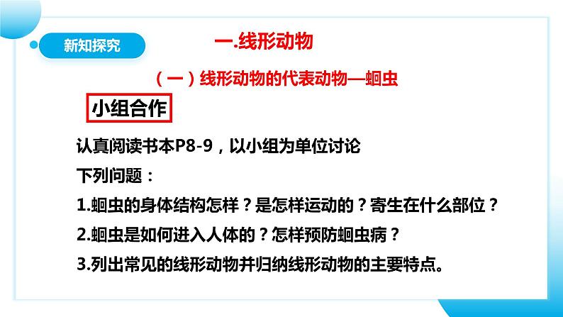 【核心素养目标】人教版初中生物八年级上册5.1.2《线形动物和环节动物》课件+视频+教学设计+同步分层练习（含答案）07