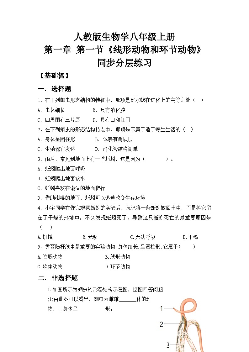 【核心素养目标】人教版初中生物八年级上册5.1.2《线形动物和环节动物》课件+视频+教学设计+同步分层练习（含答案）01