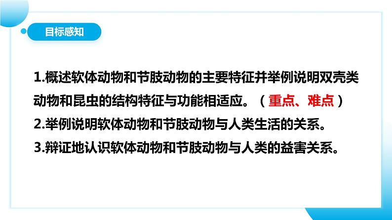 【核心素养目标】人教版初中生物八年级上册5.1.3《软体动物和节肢动物》课件+视频+教学设计+同步分层练习（含答案）04