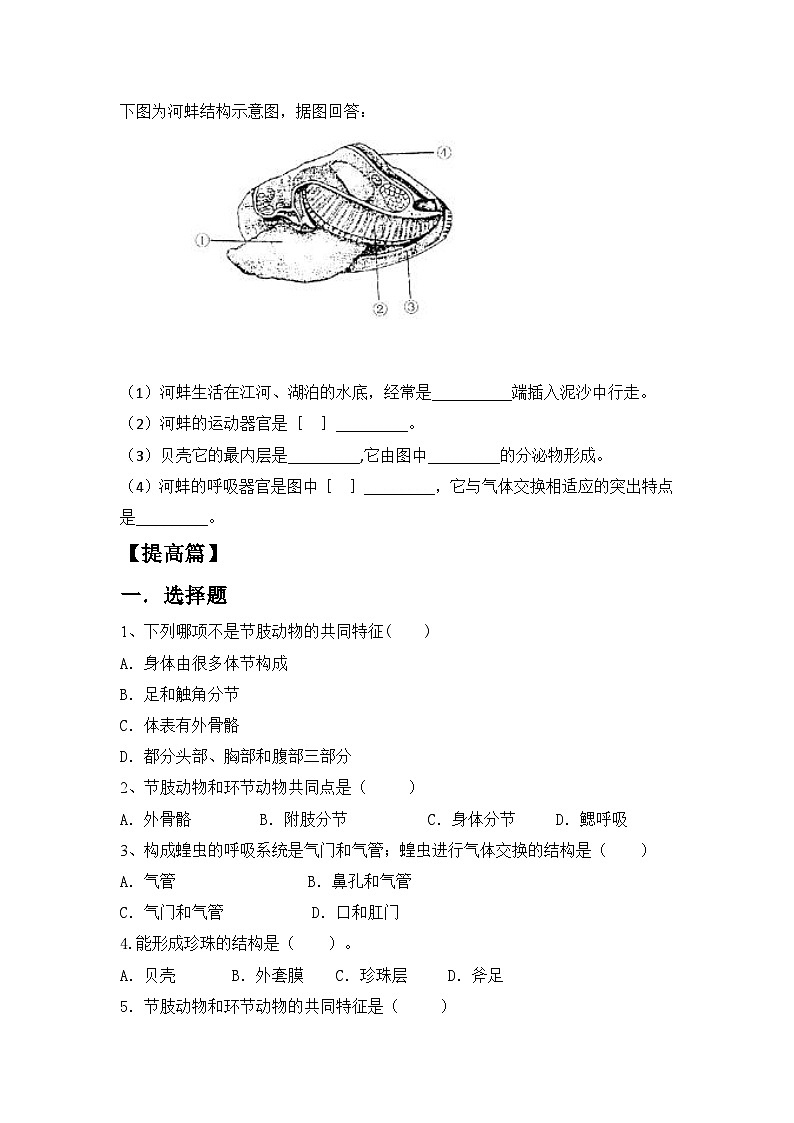 【核心素养目标】人教版初中生物八年级上册5.1.3《软体动物和节肢动物》课件+视频+教学设计+同步分层练习（含答案）02