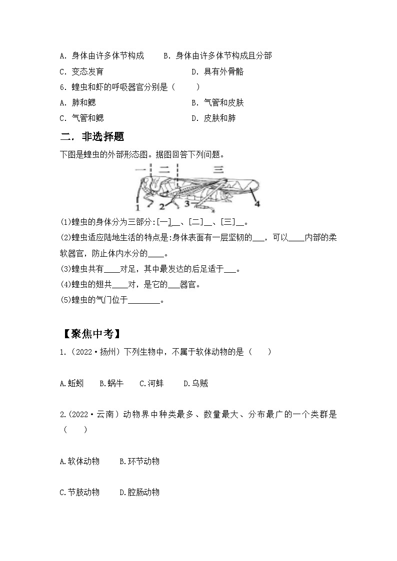 【核心素养目标】人教版初中生物八年级上册5.1.3《软体动物和节肢动物》课件+视频+教学设计+同步分层练习（含答案）03