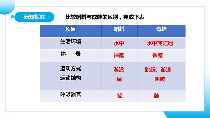 人教版初中生物八年级上册5.1.5《两栖动物和爬行动物》 课件第7页