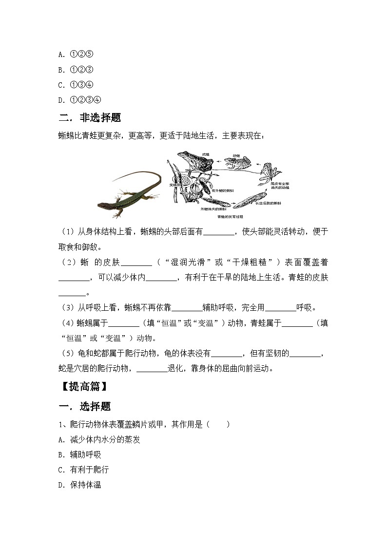 人教版初中生物八年级上册5.1.5《两栖动物和爬行动物》同步分层练习（含答案）第2页