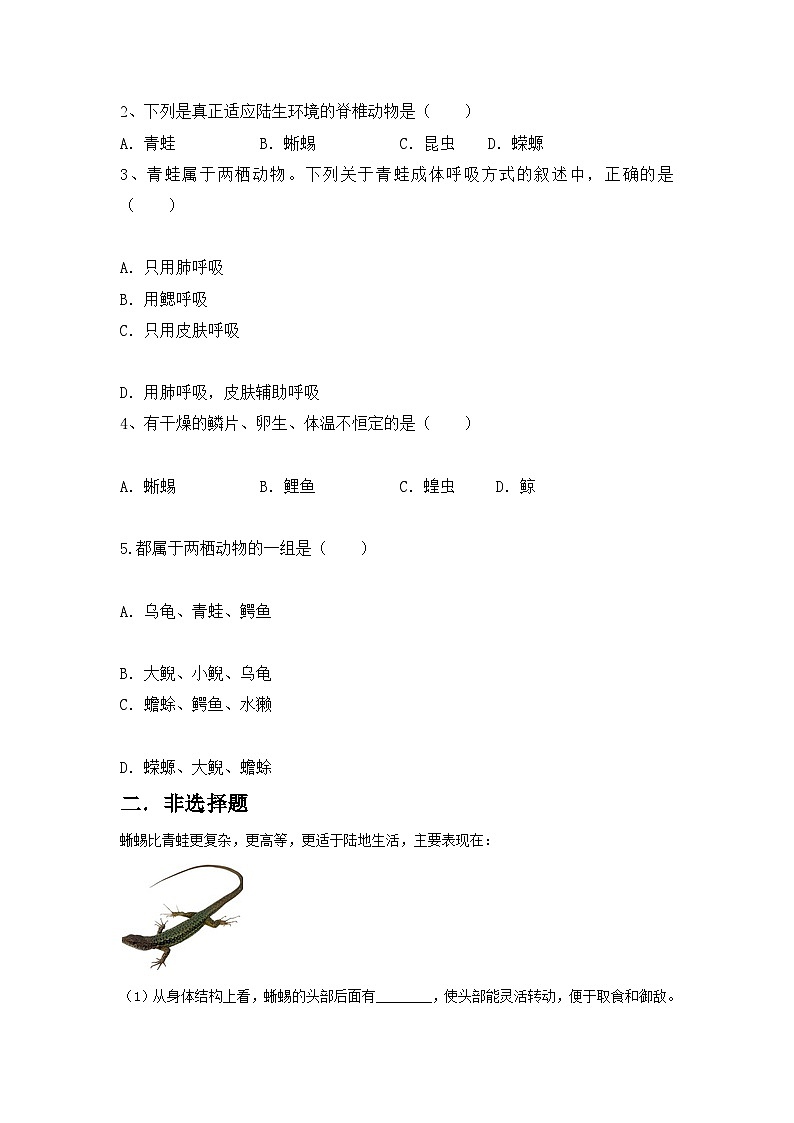 人教版初中生物八年级上册5.1.5《两栖动物和爬行动物》同步分层练习（含答案）第3页