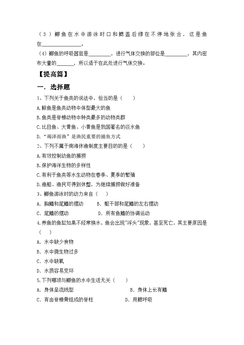 【核心素养目标】人教版初中生物八年级上册5.1.4《鱼》课件+视频+教学设计+同步分层练习（含答案）02