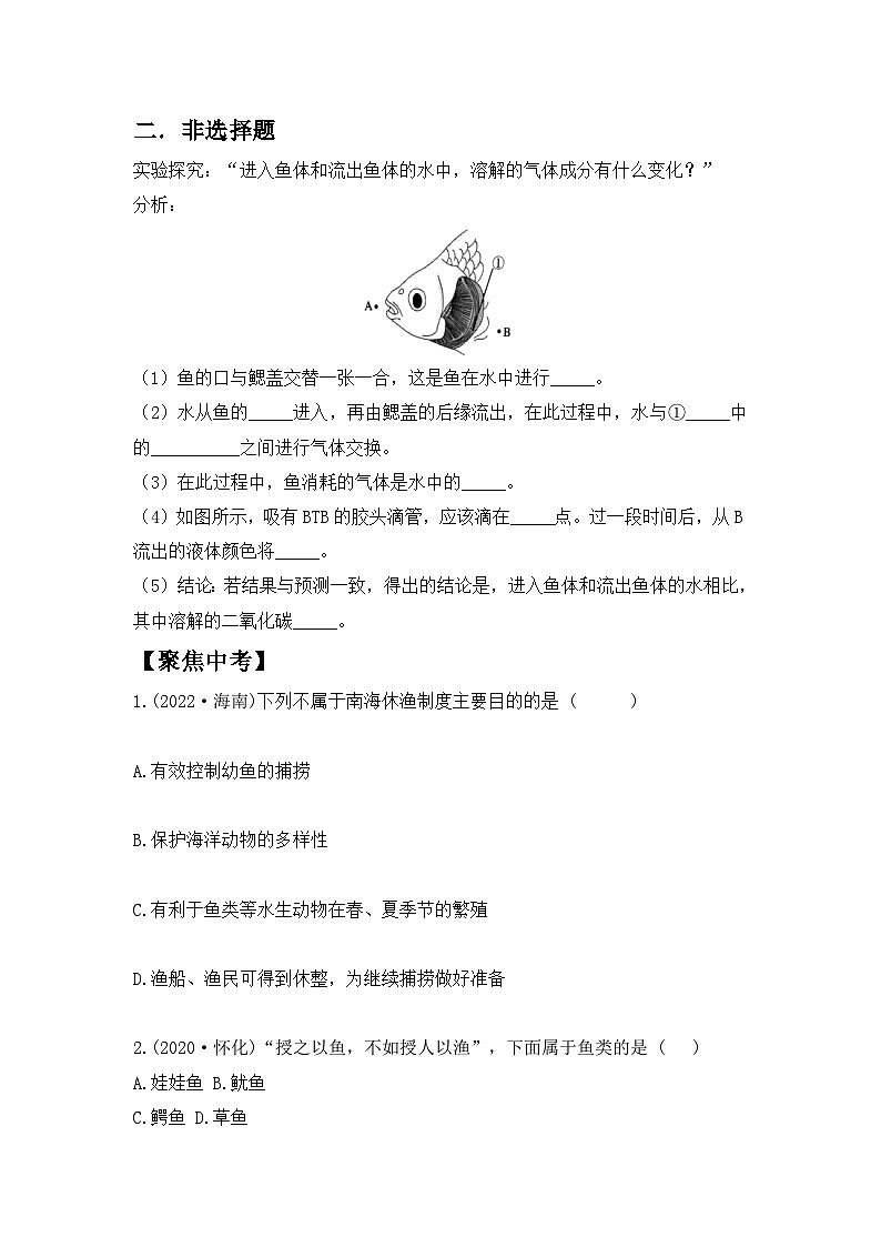 【核心素养目标】人教版初中生物八年级上册5.1.4《鱼》课件+视频+教学设计+同步分层练习（含答案）03