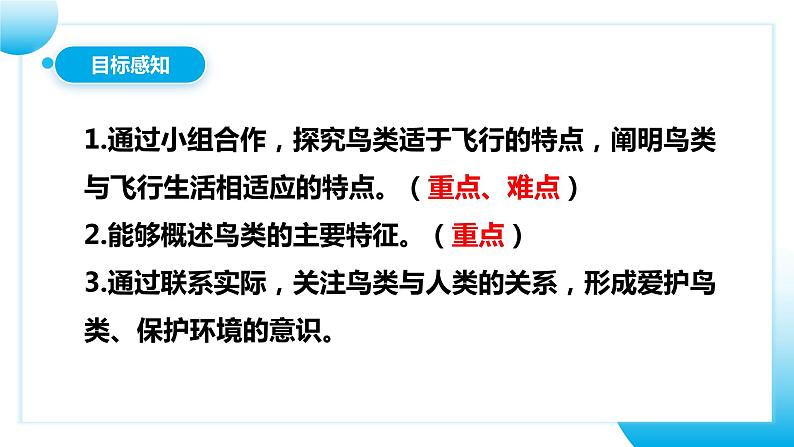 【核心素养目标】人教版初中生物八年级上册5.1.6《鸟》课件+视频+教学设计+同步分层练习（含答案）04