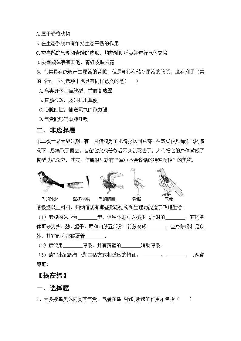 【核心素养目标】人教版初中生物八年级上册5.1.6《鸟》课件+视频+教学设计+同步分层练习（含答案）02