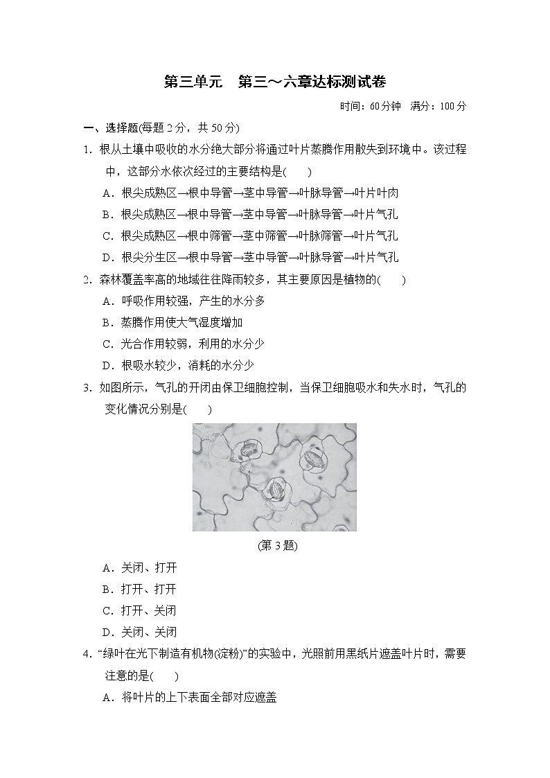 人教版七年级上册生物 第三单元　第三～六章达标测试卷第1页