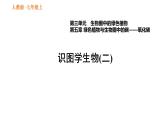 人教版七年级上册生物习题课件 第3单元 识图学生物(二)