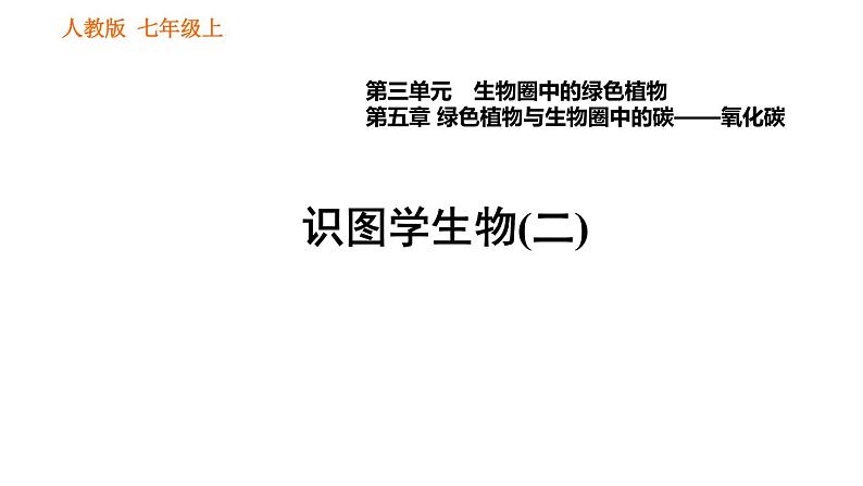 人教版七年级上册生物习题课件 第3单元 识图学生物(二)第1页