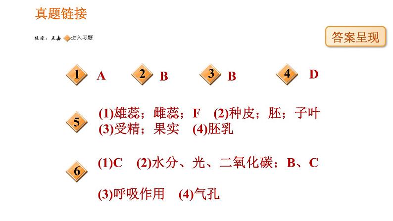 人教版七年级上册生物习题课件 第3单元 识图学生物(二)第2页