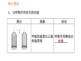 人教版七年级上册生物习题课件 第3单元 3.5.2 绿色植物的呼吸作用0