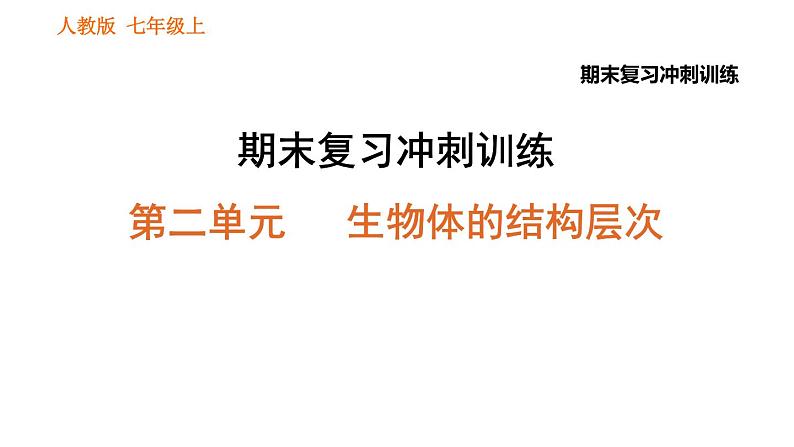 人教版七年级上册生物习题课件 期末复习 第二单元 生物体的结构层次01