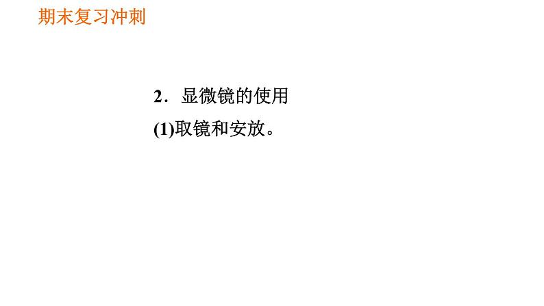 人教版七年级上册生物习题课件 期末复习 第二单元 生物体的结构层次03