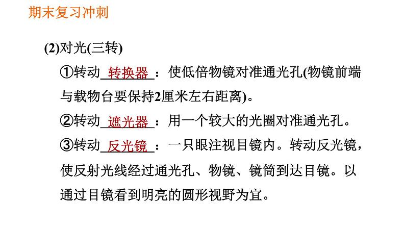 人教版七年级上册生物习题课件 期末复习 第二单元 生物体的结构层次04