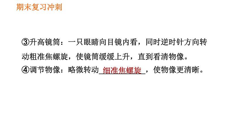 人教版七年级上册生物习题课件 期末复习 第二单元 生物体的结构层次06