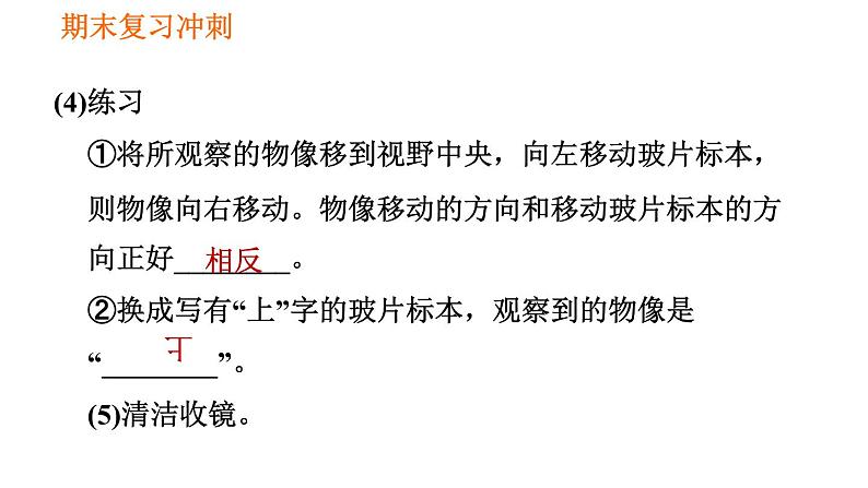 人教版七年级上册生物习题课件 期末复习 第二单元 生物体的结构层次07