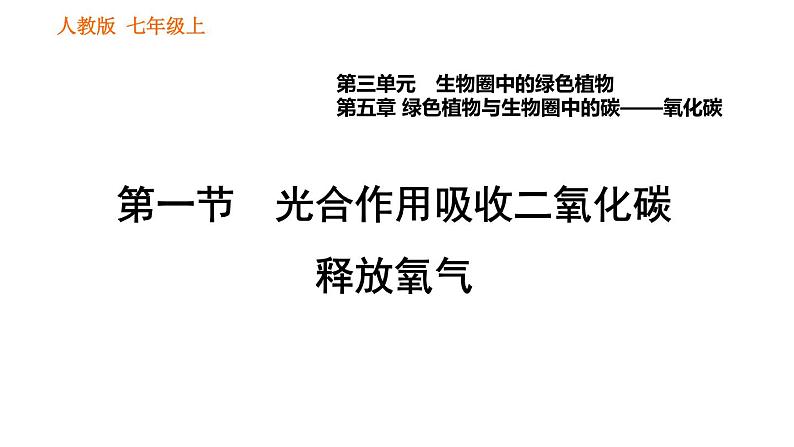 人教版七年级上册生物习题课件 第3单元 3.5.1 光合作用吸收二氧化碳释放氧气001