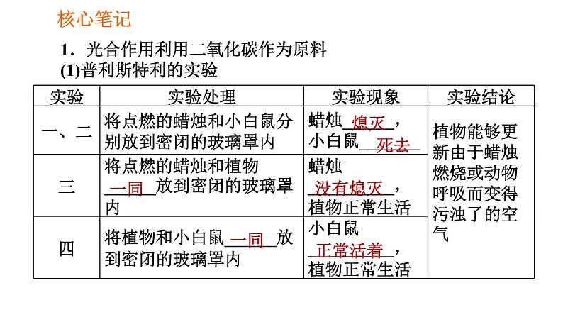 人教版七年级上册生物习题课件 第3单元 3.5.1 光合作用吸收二氧化碳释放氧气002